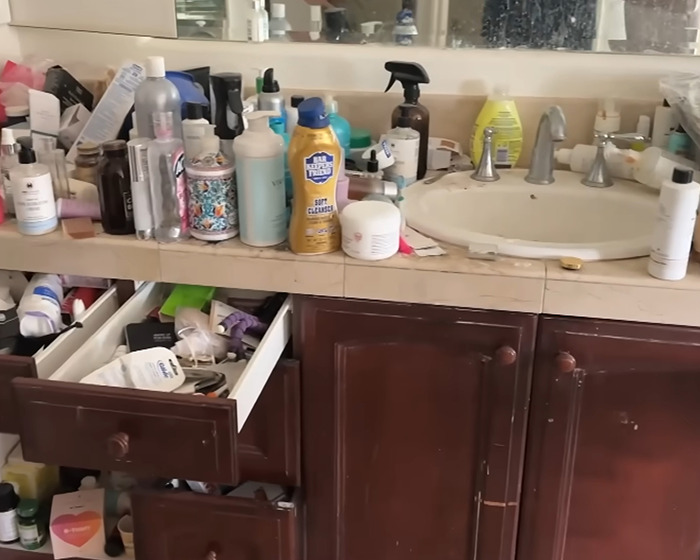 Denise Richards Rescues 15 Dogs From Estranged Husband&rsquo;s "Trashed" Home Amid Bitter Divorce