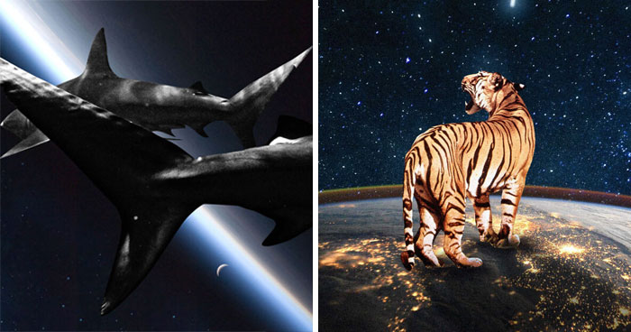 I Made 23 Digital Collages That Bend Space And Reality