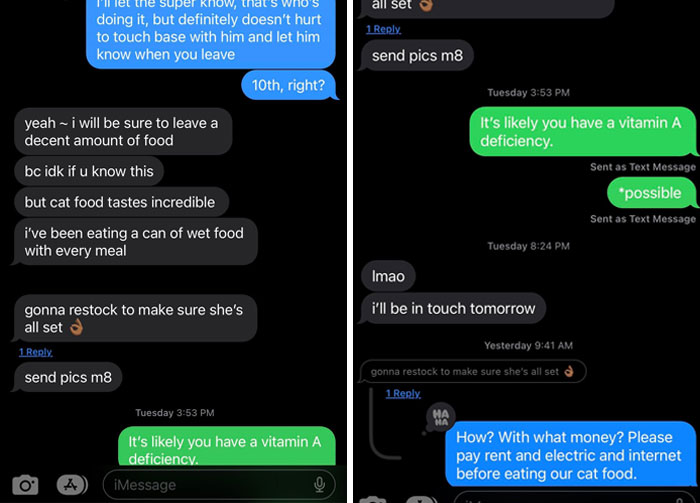 Screenshot of humorous text messages showing a vacationer's bad luck involving cat food and vitamin deficiency advice.