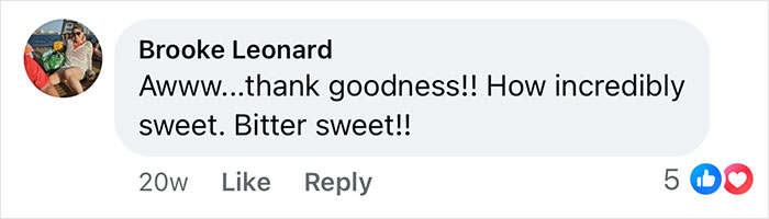 Comment from Brooke Leonard expressing gratitude and describing the boxer saving French bulldog brother&rsquo;s life as incredibly sweet and heartwarming.