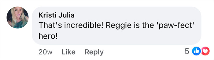 Comment praising a boxer dog as the hero for saving his French Bulldog brother, with 5 likes and love reactions.