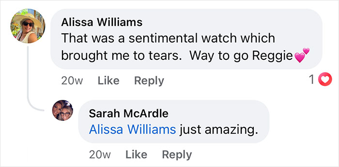 Comments praising the heartwarming moment of a boxer saving French bulldog brother&rsquo;s life are shown.