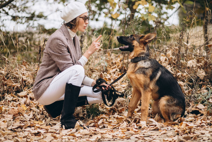 Woman squatting in autumn leaves, holding leash while training a German Shepherd dog outdoors in a park setting
