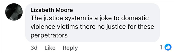 Comment from a domestic violence victim expressing frustration over lack of justice for perpetrators in the justice system.