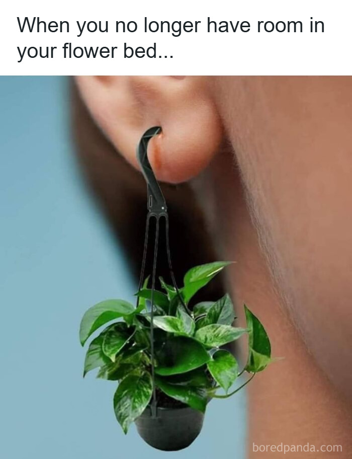 Close-up of a unique earring holding a miniature plant, showcasing one of the weirdest purchases people would make in a heartbeat.