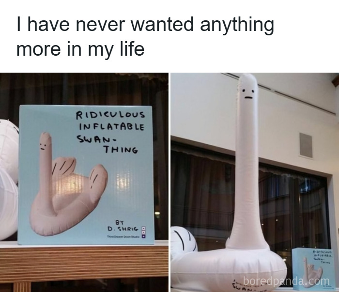 Inflatable swan thing with a funny face, one of the weirdest purchases people would make in a heartbeat.