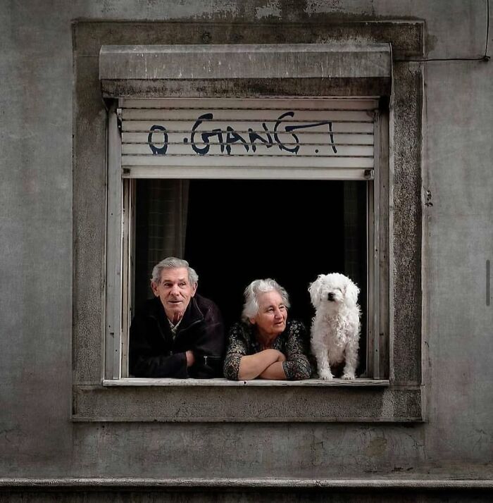 Elderly couple and small white dog leaning on a window ledge in street photography capturing the beauty and wisdom of old age.