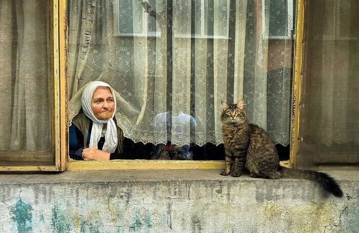 Elderly woman gazing through a window with lace curtains, accompanied by a fluffy cat, capturing the beauty of old age.