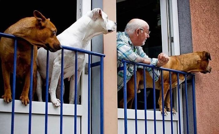 Elderly man and three dogs leaning on a balcony railing in a street photo capturing the beauty and wisdom of old age.