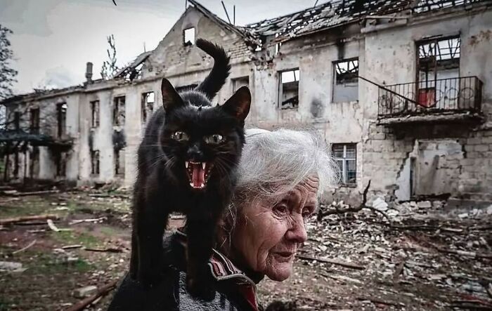 Elderly woman with white hair carrying a black cat on her shoulder in a ruined urban street setting, capturing old age beauty.
