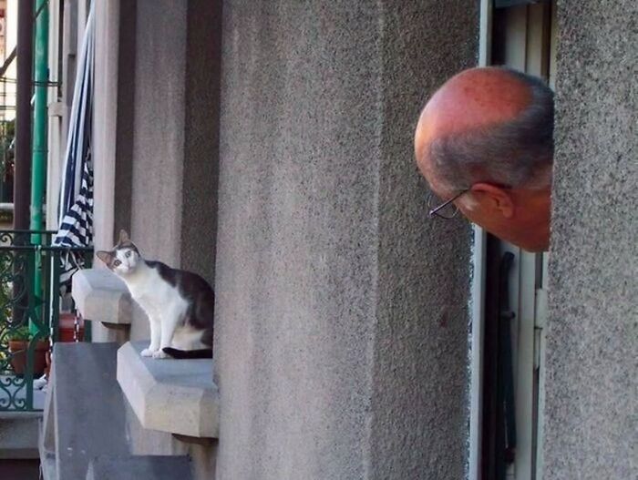 Elderly man peeking from doorway watching a cat sitting on a narrow ledge in a candid street photo capturing old age.