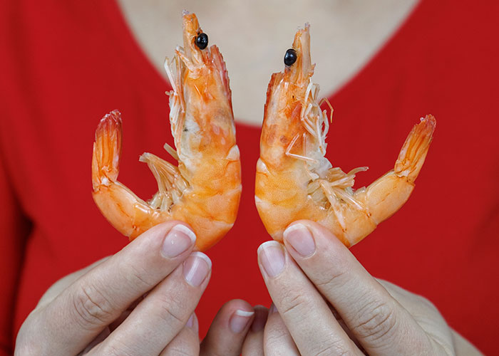 It’s Hard To Believe These 42 People Are Truly This Dumb