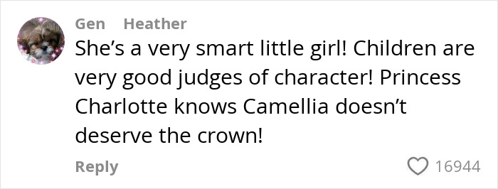 Comment praising Princess Charlotte&rsquo;s judgment, referencing curtsy mistake and Camilla&rsquo;s cold gesture towards Kate.