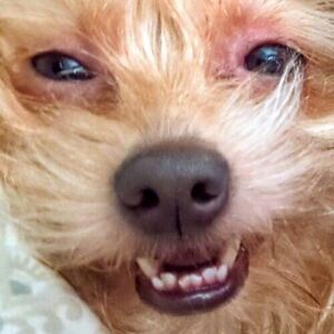 unicorn-rocket87 avatar