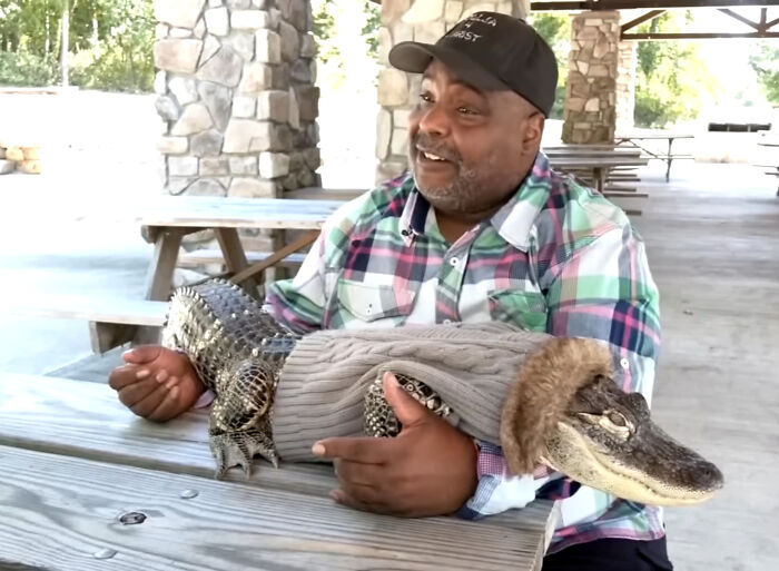 Man holding emotional support alligator wearing a sweater at a picnic table in an outdoor covered area.