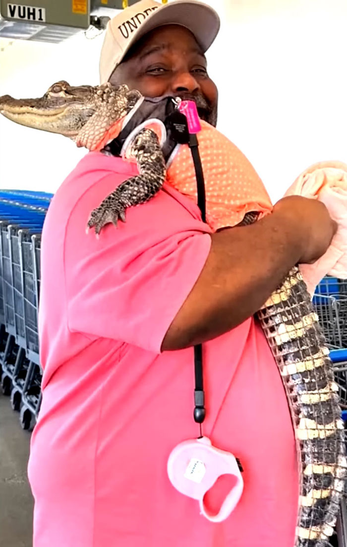 Man holding emotional support alligator wearing a pink harness inside a store with shopping carts in the background