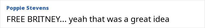 Comment reading FREE BRITNEY yeah that was a great idea, referencing Britney Spears’ inner circle concerns and behavior changes. Comment reading FREE BRITNEY yeah that was a great idea, referencing Britney Spears’ inner circle concerns and behavior changes.