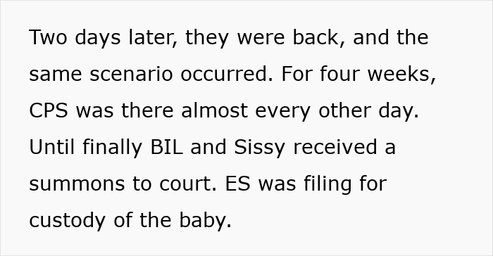 Text excerpt about a sister sending adoption papers after mistaking babysitting offer for custody case.