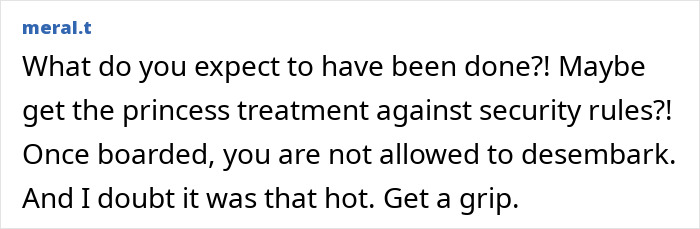 Screenshot of a social media comment discussing chaos on Paris flight and family trapped in dangerous heat with infant.