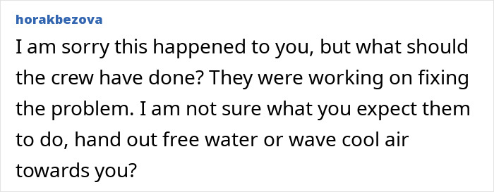 Comment discussing crew response during chaos on Paris flight with family trapped in dangerous heat and infant involved.
