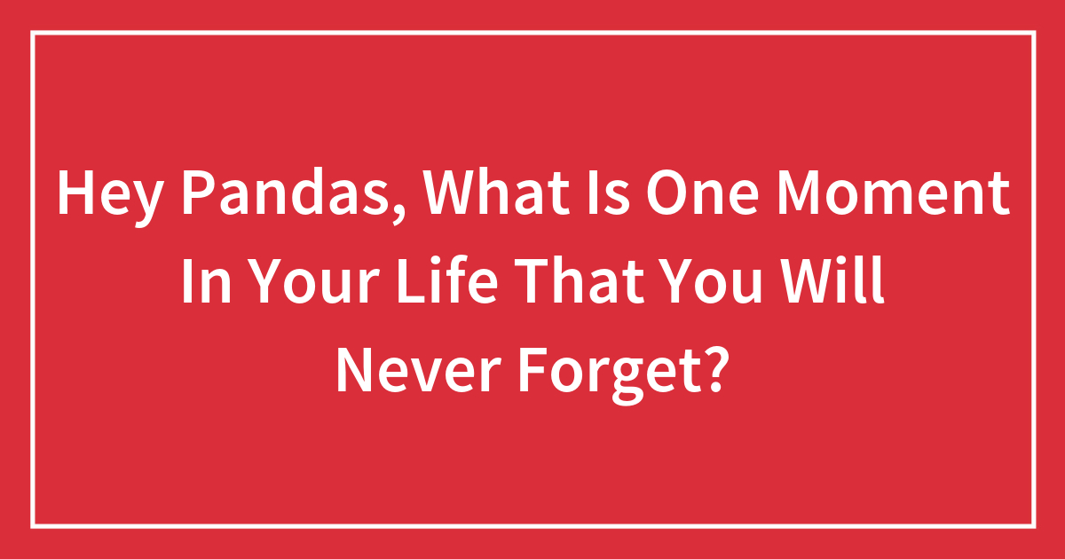 Hey Pandas, What Is One Moment In Your Life That You Will Never Forget ...