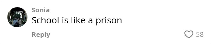 Social media comment criticizing school, comparing it to a prison, reflecting frustration from a furious mom over snack ban.