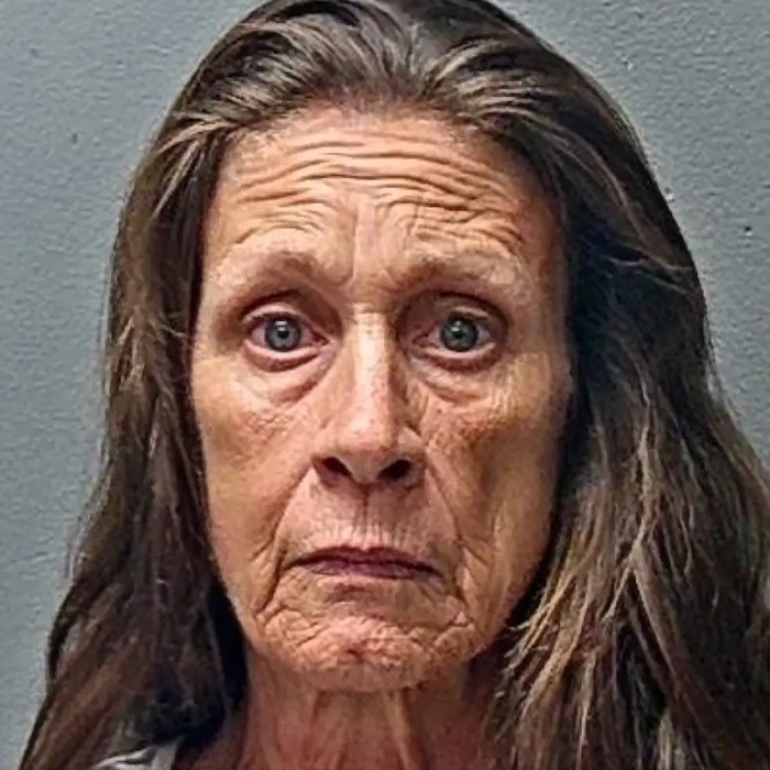 Mugshot of an older woman with long hair involved in shocking arrest linked to flight attendant&rsquo;s mysterious disappearance.