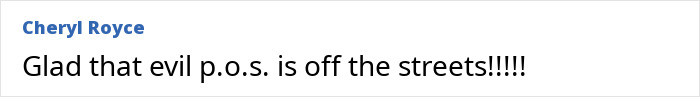 Comment from Cheryl Royce expressing relief about an arrest related to a flight attendant&rsquo;s mysterious disappearance case.
