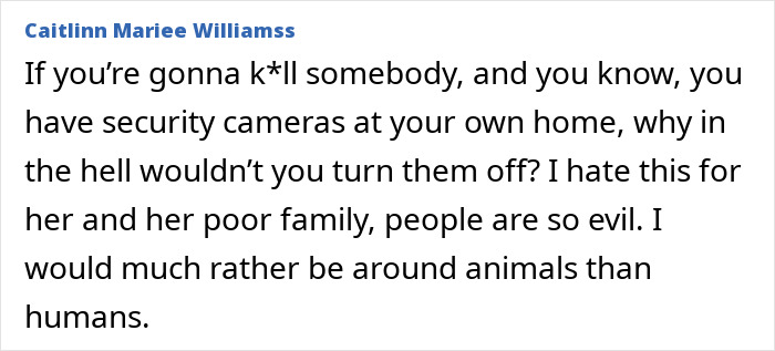 ALT text: Screenshot of a social media comment expressing frustration about security cameras in a flight attendant&rsquo;s mysterious disappearance case.