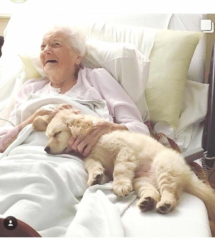 Elderly woman lying in bed smiling while a wholesome dog sleeps peacefully on her lap.
