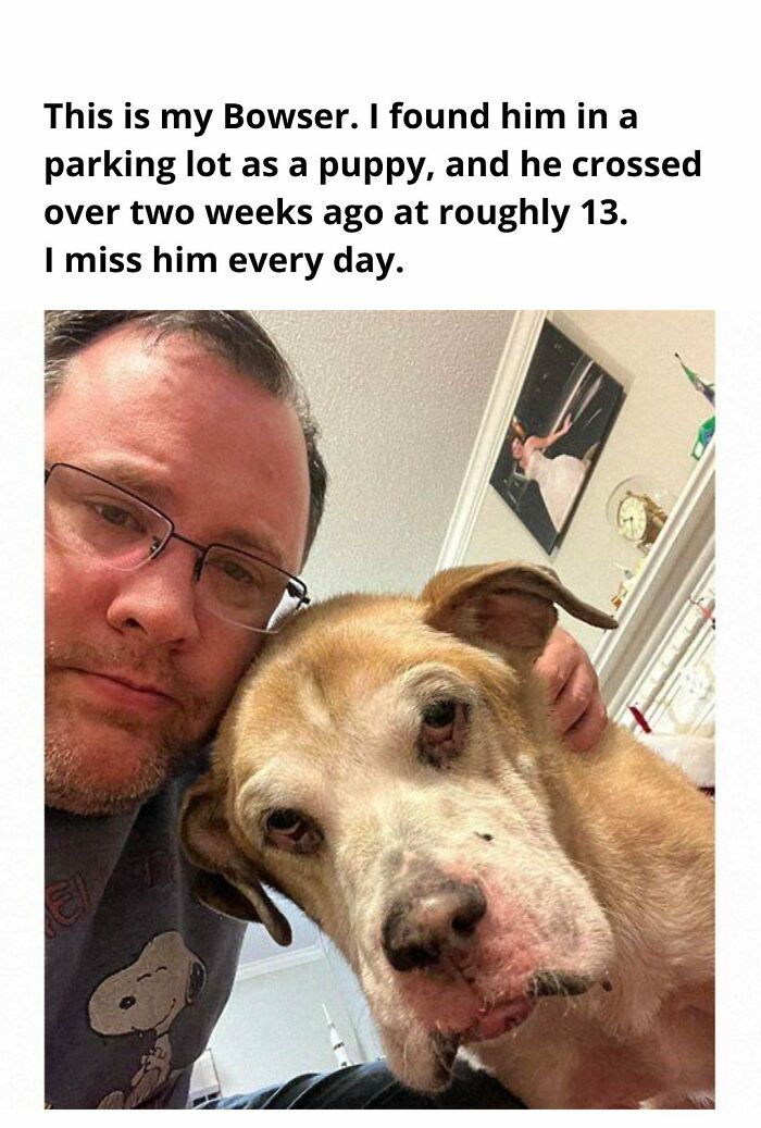 Man with glasses posing closely with his senior dog, capturing a heartfelt moment of fun with animals and companionship.