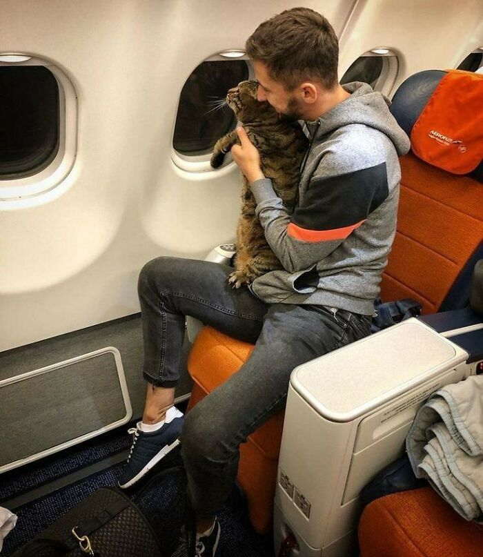Man holding and cuddling a cat on an airplane seat, showing fun with animals and wholesome pet moments.