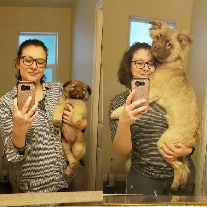 Woman taking mirror selfies holding a dog puppy and then the same dog grown bigger showing fun with animals and wholesome moments.