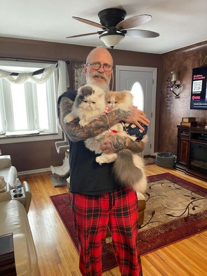 Man with tattoos holding two fluffy cats inside a cozy living room, showcasing fun with animals and wholesome pets.