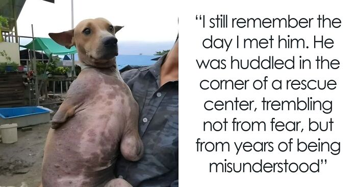 50 Wholesome Photos Of Animals That Might Have You Smiling Uncontrollably