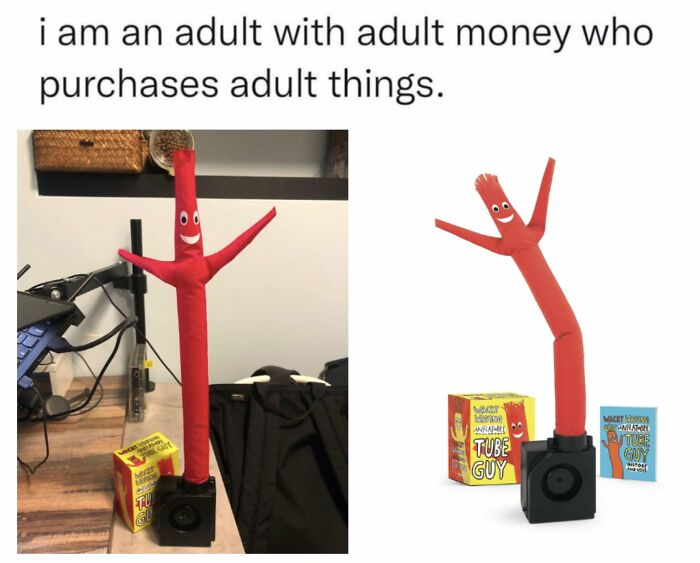 Funny men humor meme showing a red inflatable tube guy toy with caption about adult money buying adult things.