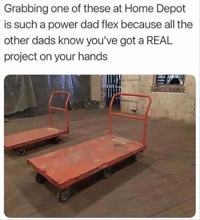 Dad humor meme showing Home Depot carts with caption about power dad flex and real project, reflecting men humor coping style.
