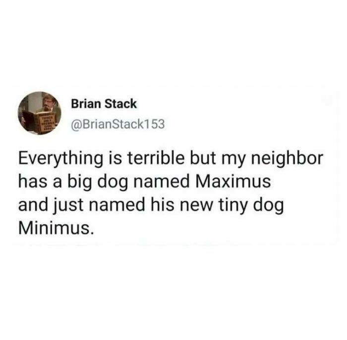 Tweet by Brian Stack sharing men humor meme about dogs Maximus and Minimus to cope with life's difficulties.