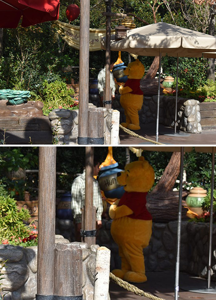 Person interacting with a Winnie the Pooh character holding a honey pot at an amusement park photo opportunity.