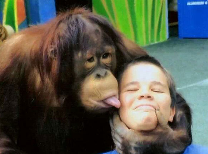 Orangutan playfully licking a boy's face in a colorful amusement park setting, capturing one of the best photos.