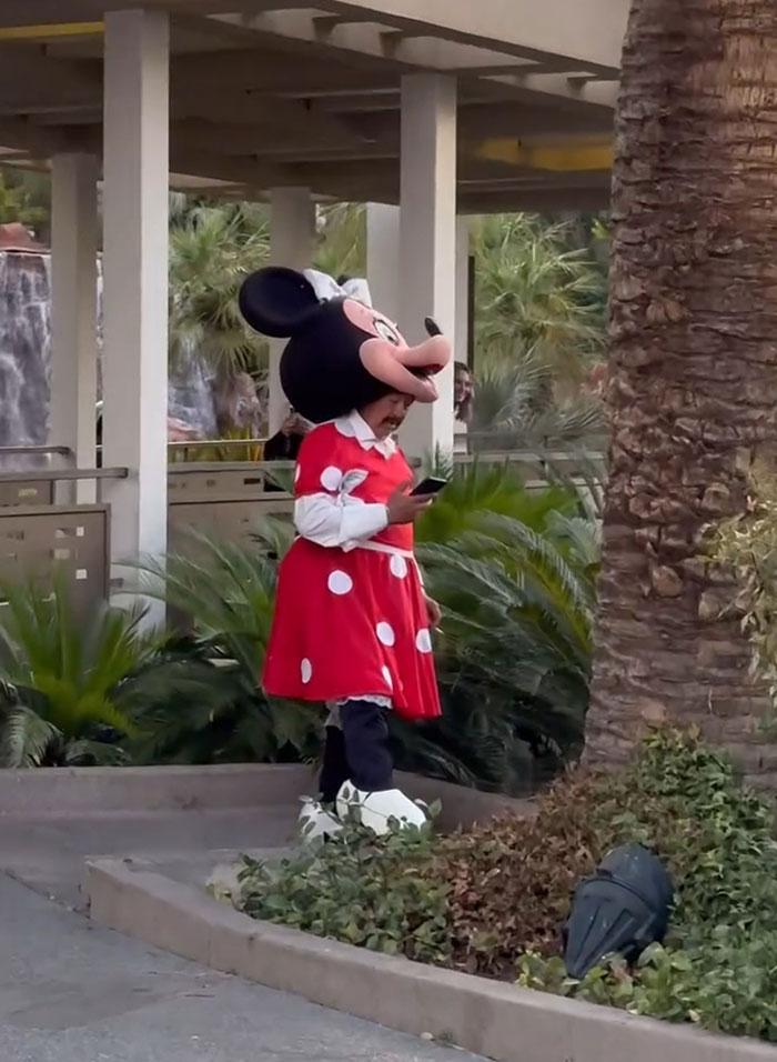 Person dressed in Minnie Mouse costume standing outdoors, captured in one of the best photos from an amusement park trip.