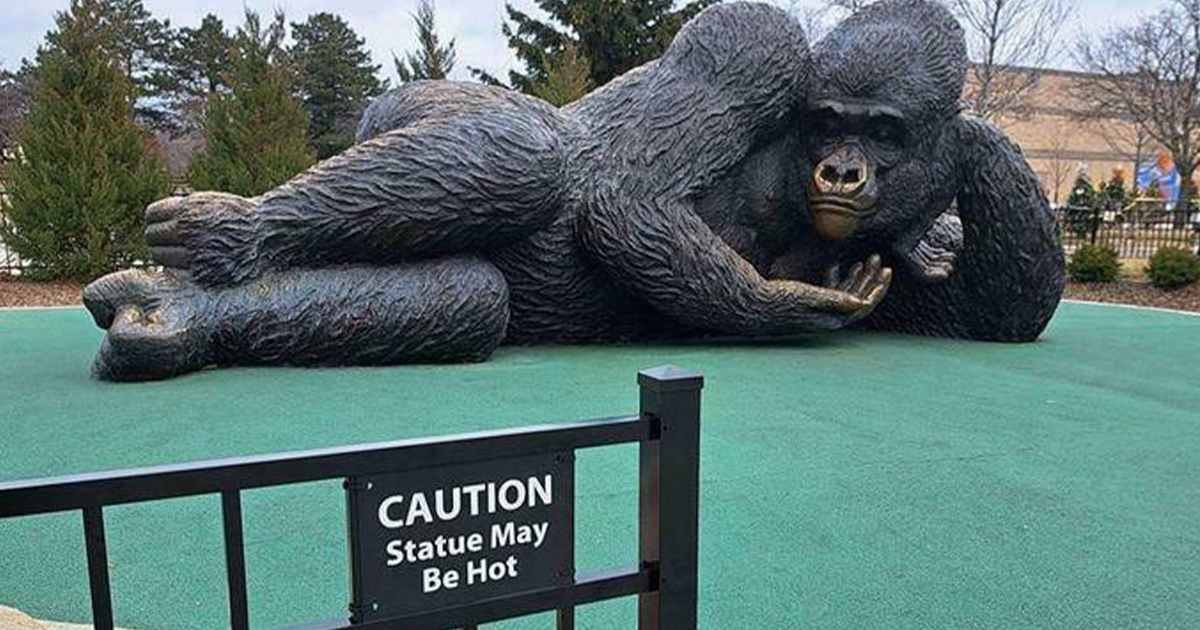 21 Imágenes que están bendecidas y malditas al mismo tiempo