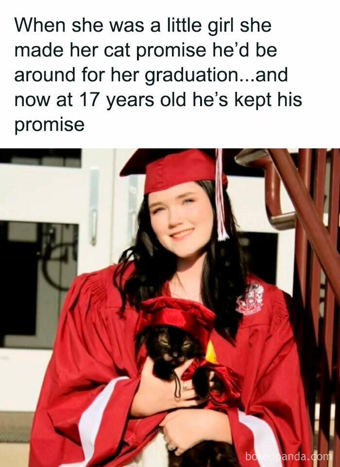Young woman in a red graduation gown holding a black cat wearing a matching graduation cap, showcasing cute cat memes theme.