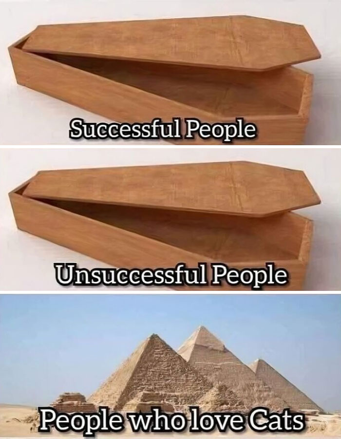 Wooden coffin comparisons labeled successful, unsuccessful people, and pyramids labeled people who love cats in a cat meme.