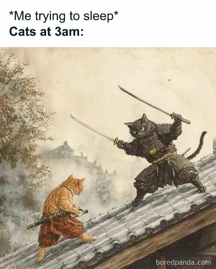 Two cats dressed as samurai warriors fighting on a rooftop, illustrating cute cat memes humorously.