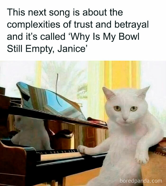 White cat sitting at a piano looking serious meme, perfect for cute cat memes about trust and betrayal humor.