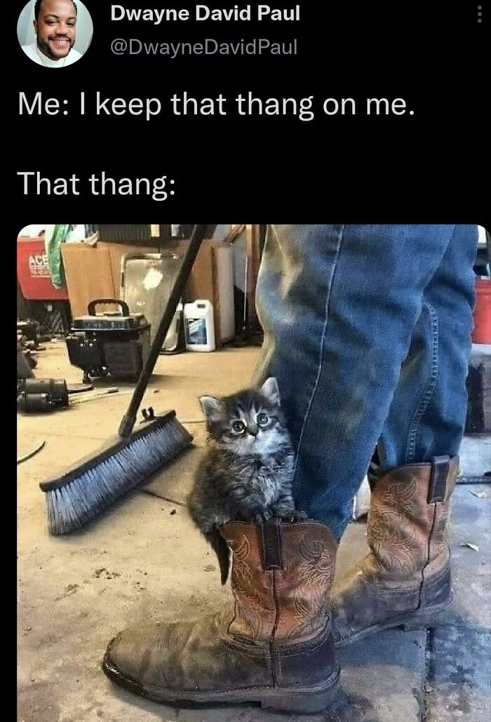 A small fluffy kitten sitting inside a worn brown boot beside a person wearing jeans and boots, cute cat meme.