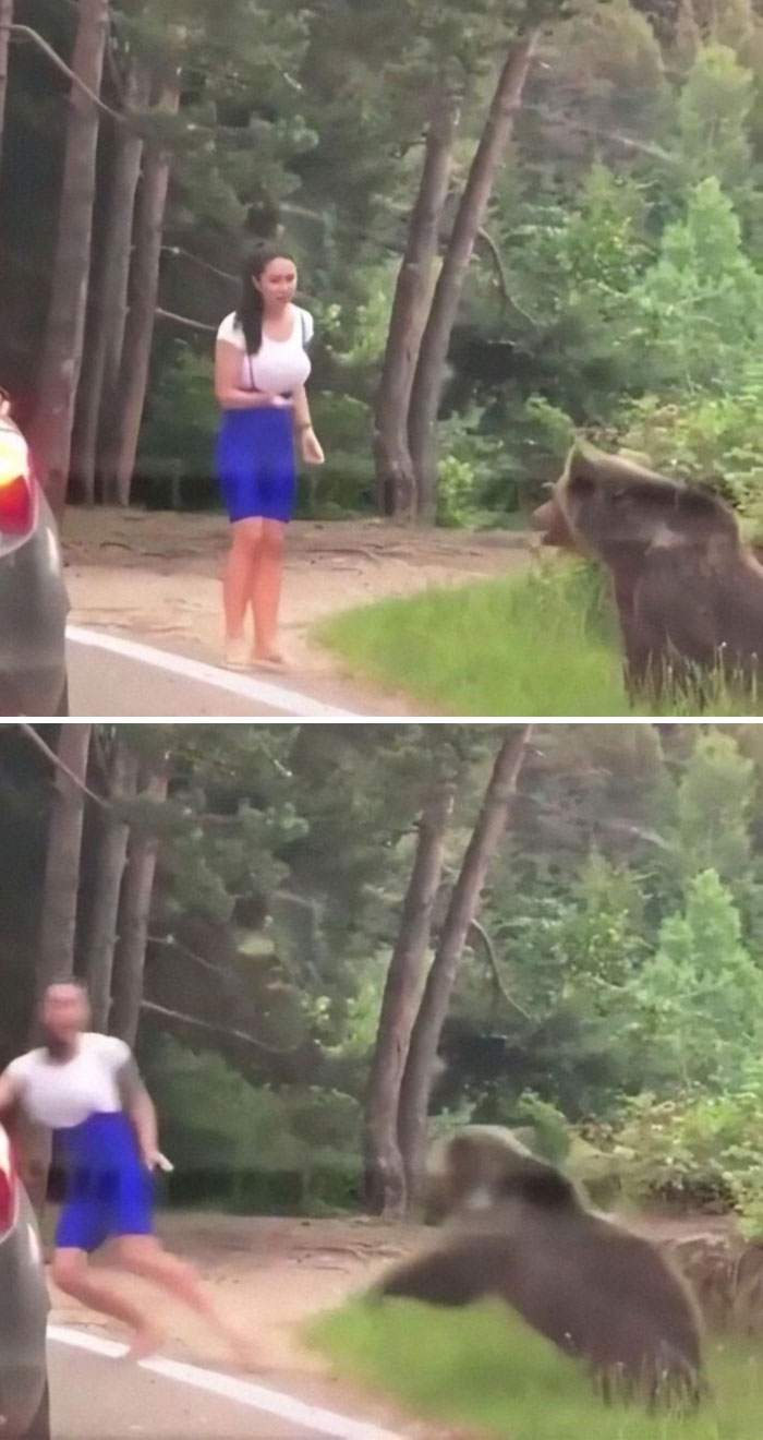 Woman influencer in blue skirt dangerously close to a bear in the forest, capturing a ridiculous moment that shocked viewers.