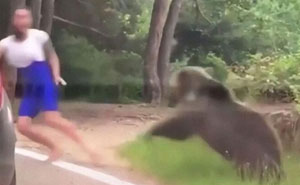 30 Influencers haciendo el ridículo por sus malas decisiones