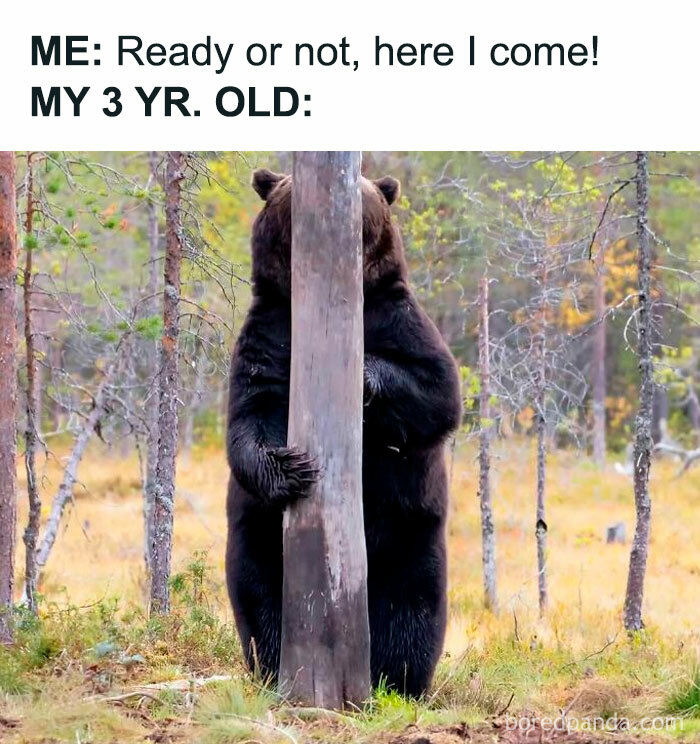 Bear hiding behind a tree in a forest, representing a 3-year-old in hilarious parenting memes this back-to-school season.